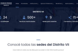 colegio de tecnicos distrito 7