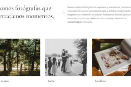 la lechuza foto