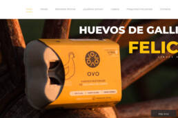 ovo huevos pastoriles